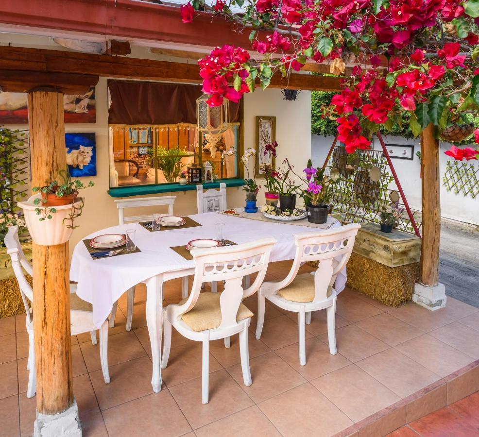Casa Elalu Apartment กีโต ภายนอก รูปภาพ