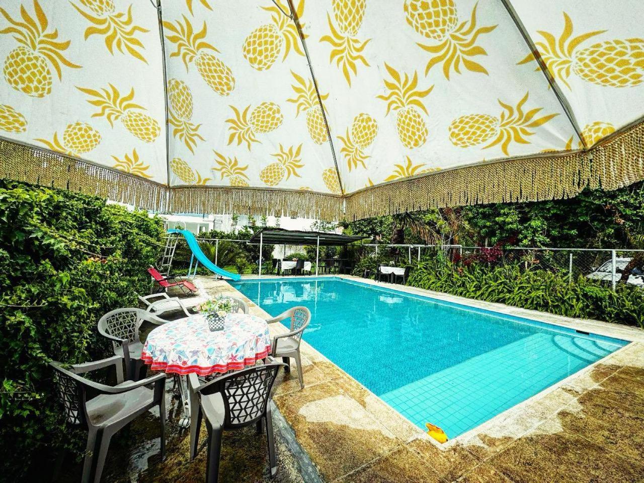 Casa Elalu Apartment กีโต ภายนอก รูปภาพ